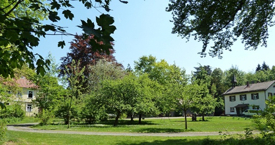 Teilansicht Römerkastell Hainhaus (Foto: N. Allmann)